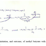 Figure 1: Reaction initiation, and outcome, of methyl butyrate with alkoxide ion during Claisen condensation 