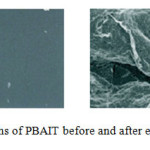 Figure 7a.SEM Micrographs of PBAIT before and after enzymatic degradation