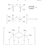 figure 1: final product