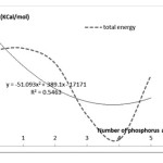 Diagram of total energy changes to increase the number of phosphorus atoms in the nanotube 