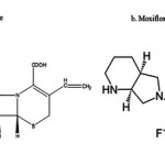 Vol28No4_Sim_Dev_fig1