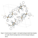 Figure 3. Crystal structure of complex 1, showing the hydrogen bonded chain formation in bc plane. Only the hydrogen atoms involved in hydrogen bonding are shown.