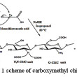 Synthesis And Characterization Of Biodegradable Film Chitosan And ...