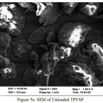 Figure 5a: SEM of Unloaded TPVSP