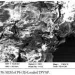 Figure 5b: SEM of Pb (II)-Loaded TPVSP.