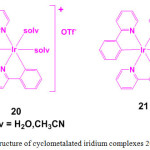 Scheme 6: Synthesis of Ru(II) complex 17 from 16.