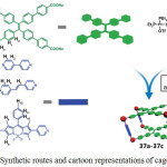 Scheme 18: Synthetic routes and cartoon representations of cages 37a-37c. Reproduced with permission from ref. 41. Copyright (2017) American Chemical Society. 