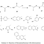 Scheme 12: Reaction of thiosemicarbazones with chloroacetone