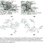 Figure 3: Molecular interaction using FlexX at the PPARα receptor (1k7l) binding pocket A) Stereoview of docking with the natural ligand. B) Stereoview of docking with the most active ligand C29. C) with the natural ligand. D)