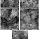 Figure 2: SEM images of prepared nano particles: (a) Fe3O4 (b) Fe3O4@ SiO2 (c) Fe3O4@SiO2@ NH2 (d) Fe3O4@ SiO2@ N(CH3)2I- (d) Fe3O4@ SiO2@ N(CH3)2I3-