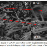 Figure 3: SEM images of CuV2O6 nanoparticle (a) low magnification image (b) high magnification image of spherical shape (c) high magnification image of leaf like shape