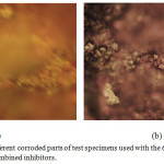 Figure 8: (a and b) Different corroded parts of test specimens used with the 6 g / 250 ml HNO3 concentration of the combined inhibitors.