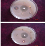 Figure 1: Antibacterial Activity of TBA, TBB, TBN and TBC (Pseudomonas aeruginosa).