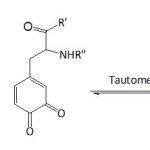 Equation 1