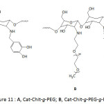 Figure 11: A, Cat-Chit-g-PEG; B, Cat-Chit-g-PEG-g-PEI.