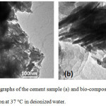 Figure 3: TEM micrographs of the cement sample (a) and bio-composite cement (b) after five days of maturation at 37°C in deionized water.