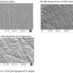 Figure 6: SEM photographs of CS sample.