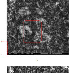 Figure 2: SEM image sample of 3-ibuprofen/SBA-15(a), 10-ibuprofen/SBA-15 (b), and 14-ibuprofen/SBA-15 (c).