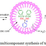 Figure 11: Miceller promoted multicomponent synthesis of trisubstituted imidazoles.