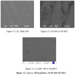 Figure 12. (a,b,c): SEM pictures of SP/MS/1M HCl.