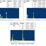 Figure 13(a-c): EDX images of MS/SP/1M HCl.