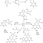 Scheme 1: Synthesis of compounds 1, 2(a-b), 3, 4(a-c), 5 and 6.