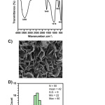 Figure 1: Material Characterization; A) X-ray diffraction of the synthesized magnesium silicate hydrate from hydrothermal method compared to the standard compounds with JCPDS cards of 00-002-1009 and  00-047-1750; B) FTIR spectrum of synthesized magnesium silicate hydrate; C) SEM image of the synthesized magnesium silicate; and D) The thickness distribution of the particles of magnesium silicate hydrate.