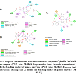 Figure 2: A. Diagram that shows the main interactions of compound C1 inside the bindingpocket of gyrase enzyme  (PDB code: 5L3J), 