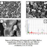 Figure 4: SEM images of [Co(phen)3](CF3COO)2·5H2O at magnification of 100x (a), 1000x (b), and  5000x (c) and its EDX