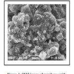 Figure 4: SEM image of graphene oxide