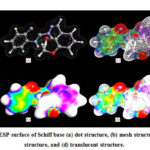 Figure 5: The ESP surface of Schiff base (a) dot structure, (b) mesh structure, (c) opaque structure, and (d) translucent structure.