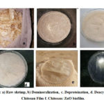 Figure 1: a) Raw shrimp, b) Demineralization, c. Deproteination, d. Deacytalytion e. Chitosan Film f. Chitosan: ZnO biofilm.