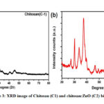 Figure 3: XRD image of Chitosan (C1) and chitosan:ZnO (C2) biofilm.