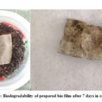   Figure 5: Biodegradability of prepared bio film after 7 days in compost soil