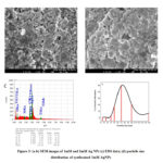 Figure 3: (a-b) SEM images of 1mM and 2mM Ag NPs (c) EDS data; (d) particle size distribution of synthesized 1mM AgNPs