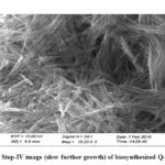 Figure 14: Step-IV image (slow further growth) of biosynthesized Q-ZnONPS