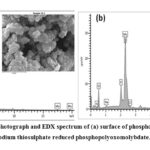 Figure 6: SEM photograph and EDX spectrum of (a) surface of phosphomolybdic acid (b) sodium thiosulphate reduced phosphopolyoxomolybdate.