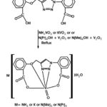 Scheme 2: Synthesis of the M[VO(L1)] xH2O complex (1-4).