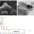 Adsorptive Behavior of Kaolin for Amido Black Dye in Aqueous Solution ...