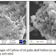 Adsorption Of Phenol And Methylene Blue In Solution By Oil Palm Shell ...