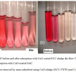 CuO Coated Electrochemically Generated Textile Wastewater Sludge and ...