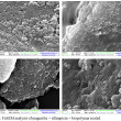 Biopolymer Coated Coreshell Magnetite Nanoparticles For Rifampicin ...