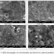 Comparative Analysis of Yttria Stabilized Zirconia (YSZ) and Titania ...