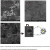 Characterization Of Enhanced Antibacterial Effects Of Silver Loaded ...