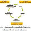 Accumulation of Heavy Metals in Farmed Lates Calcarifer of a Tropical ...