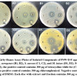 Antibacterial Activity of Pseudoelephantopus spicatus (Juss) Rohr ...