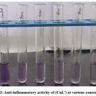 Synthesis, Characterization, Antibacterial, Antifungal, Antioxidant and ...