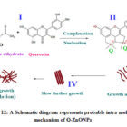 Biofabrication Of Zinc Oxide Nanoparticles Using The Isolated Flavonoid ...