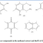 Investigation of Anticancer Agents from the Bark of Gyrinops Versteegii ...